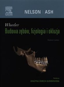 Obrazek Wheeler Budowa zębów, fizjologia i okluzja