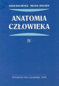 Obrazek Anatomia człowieka Tom 4