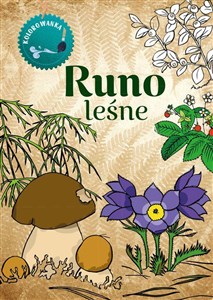 Picture of Runo leśne. Kolorowanka