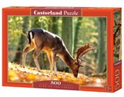 polish book : Puzzle Kin...