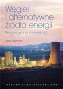 polish book : Węgiel i a... - Jerzy Taubman