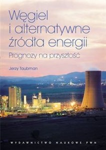 Obrazek Węgiel i alternatywne źródła energii Prognozy na przyszłość.