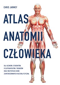 Obrazek Atlas anatomii człowieka