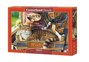 Obrazek Puzzle Fothergill 500