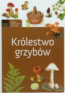Picture of Królestwo grzybów