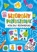 polish book : Wzorowy pr... - Katarzyna Łanocha