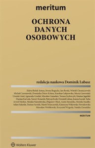 Obrazek MERITUM Ochrona danych osobowych