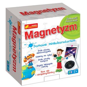 Picture of Magnetyzm Domowe minilaboratorium