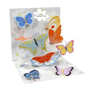 Picture of Kartki 3D Flutter