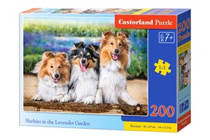 Obrazek Puzzle 200 Owczarki szetlandzkie w lawendowym ogrodzie B-222117