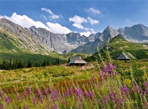 Obrazek Kalendarz 2025 trójdzielny Tatry