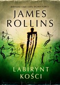 polish book : Labirynt k... - James Rollins