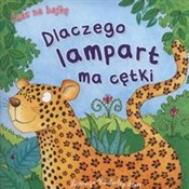 Polska książka : Dlaczego l... - Kimberley Scott (ilustr.)