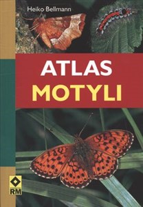 Picture of Atlas motyli