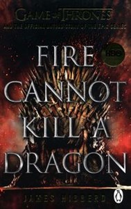 Obrazek Fire Cannot Kill a Dragon