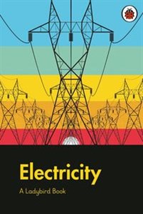 Obrazek A Ladybird Book: Electricity