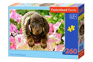 Picture of Puzzle 260 Cute Daschshund