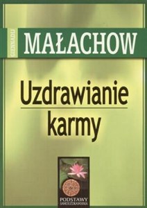 Picture of Uzdrawianie Karmy - Giennadij Małachow