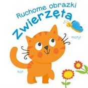 polish book : Ruchome ob... - Różni