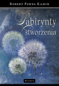 Picture of Labirynty stworzenia