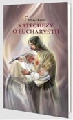 Katechezy ... - Papież Franciszek -  books from Poland