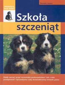 Obrazek Szkoła szczeniąt