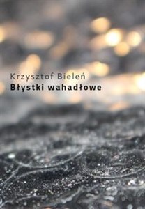 Picture of Błystki wahadłowe