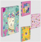 Polska książka : Segregator...