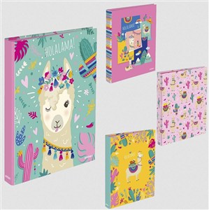 Picture of Segregator A4/2R Holalama