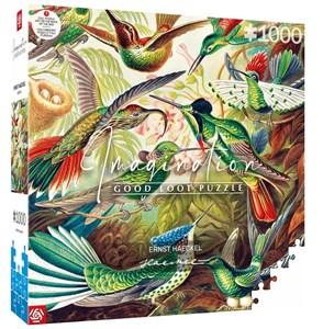 Picture of Puzzle Imagination 1000 Ernst Haeckel - Kolibry