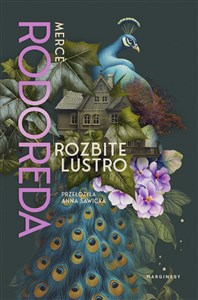 Picture of Rozbite lustro