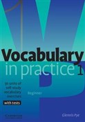 Vocabulary... - Glennis Pye -  books from Poland