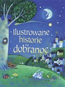 polish book : Ilustrowan... - Opracowanie Zbiorowe