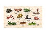 Polska książka : Naklejki Ż...