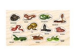 Picture of Naklejki Żmije i węże 2.0