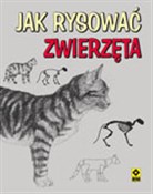 Jak rysowa... - Sue Pinkus -  books from Poland