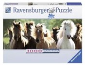 Zobacz : Puzzle 100...