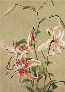 Picture of Karnet ST387 B6 + koperta Lilia