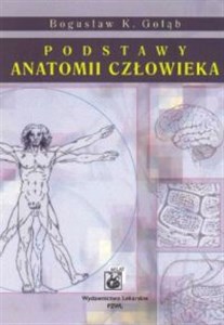 Obrazek Podstawy anatomii człowieka