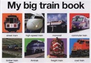 Obrazek My big train book