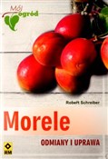 polish book : Morele Odm... - Robert Schreiber
