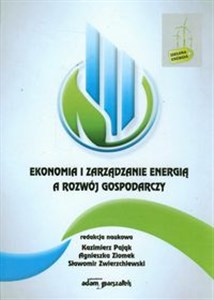Obrazek Ekonomia i zarządzanie energią a rozwój gospodarczy
