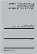 Prawo ochr... - Teresa Wyka, Marcin A. Mielczarek -  books in polish 