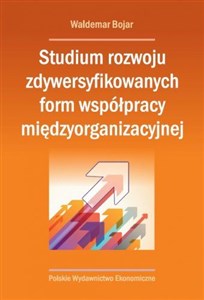 Obrazek Studium rozwoju zdywersyfikowanych form współpracy międzyorganizacyjnej