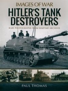 Picture of Hitler's Tank Destroyers