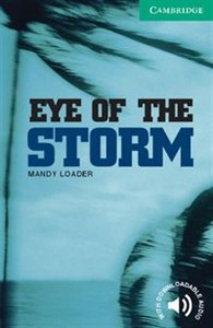 Picture of Eye of the Storm Level 3