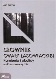 Picture of Słownik gwary lasowieckiej Kamienia i okolicy na Rzeszowszczyźnie