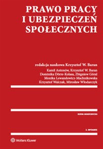 Obrazek Prawo pracy i ubezpieczeń społecznych