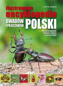 Picture of Ilustrowana encyklopedia owadów i pajęczaków