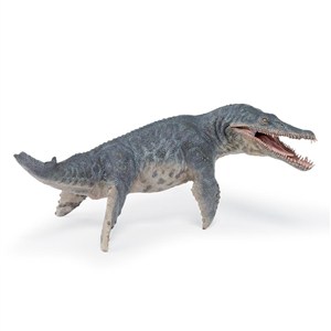 Picture of Kronosaurus